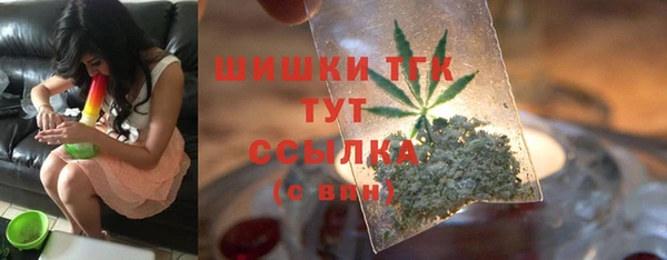 Альфа ПВП Няндома