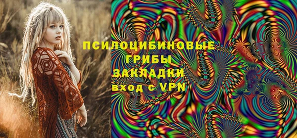 Альфа ПВП Няндома