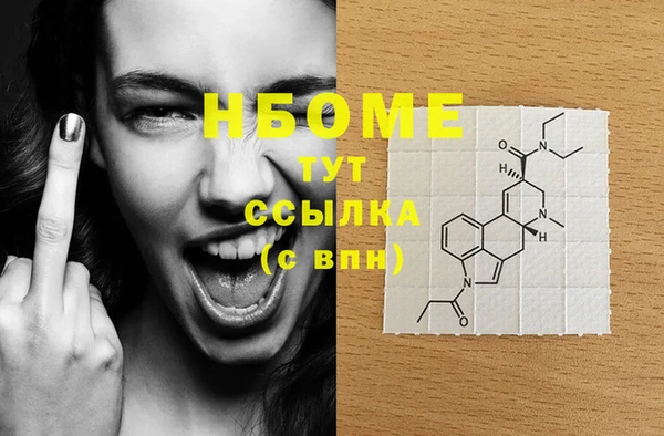стафф Новозыбков