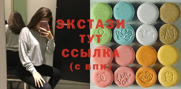 СК Новодвинск