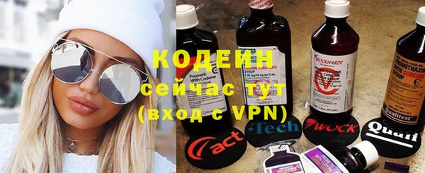 стафф Новозыбков