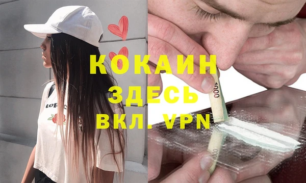 СК Новодвинск