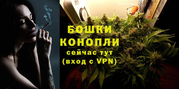 стафф Новозыбков