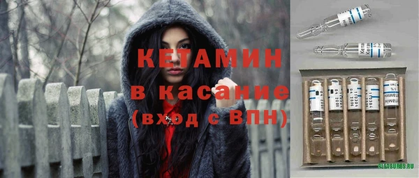 стафф Новозыбков