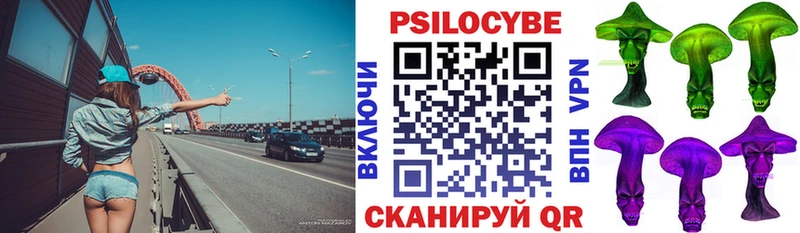 Галлюциногенные грибы Psilocybe  продажа наркотиков  Урюпинск 