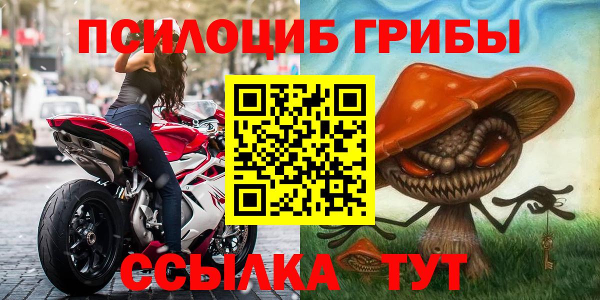 Псилоцибиновые грибы мухоморы  Псилоцибиновые грибы прущие грибы  Вход с VPN  хочу наркоту  Урюпинск 