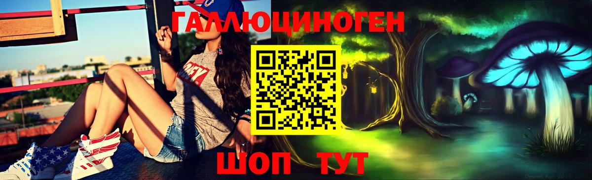 Галлюциногенные грибы Psilocybine cubensis Урюпинск